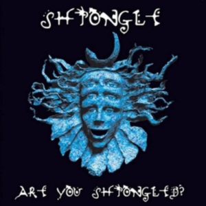 SHPONGLE - ARE YOU SHPONGLED? in the group VINYL / Pop at Bengans Skivbutik AB (4225314)