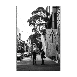 Tim Finn - At in the group CD / Pop-Rock at Bengans Skivbutik AB (4227853)