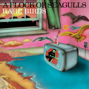 A Flock Of Seagulls - Rare Birds - 'A Flock Of Seagu in the group VINYL / Pop-Rock at Bengans Skivbutik AB (4229595)