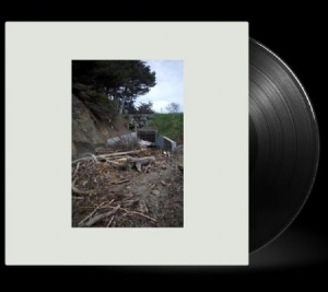 Mac Demarco - Five Easy Hot Dogs in the group VINYL / Pop-Rock at Bengans Skivbutik AB (4231833)