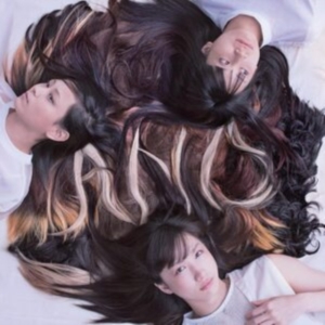 Tricot - A N D (Brown In Tan Vinyl) in the group OTHER / Övrigt /  at Bengans Skivbutik AB (4232386)