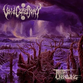 Voidceremony - Threads Of Unknowing (Vinyl Lp) in the group VINYL / Bestsellers at Bengans Skivbutik AB (4232412)