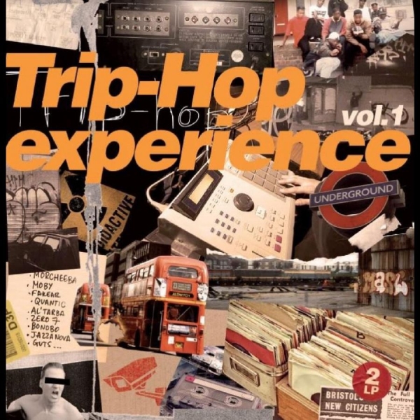 Various Artists - Trip Hop Experience Vol 1 in the group VINYL / Bestsellers at Bengans Skivbutik AB (4232972)