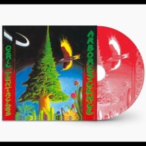 Ozric Tentacles - Arborescence in the group CD / Pop at Bengans Skivbutik AB (4233227)