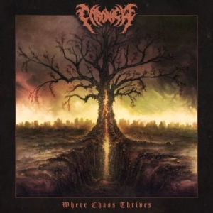 Chronicle - Where Chaos Thrives in the group CD / Hårdrock/ Heavy metal at Bengans Skivbutik AB (4233637)