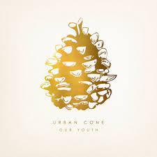 Urban Cone - Our Youth in the group VINYL / Pop at Bengans Skivbutik AB (4233896)