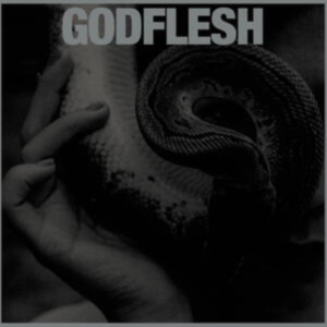 Godflesh - Purge (Vinyl Lp) in the group VINYL / Pop-Rock at Bengans Skivbutik AB (4236134)