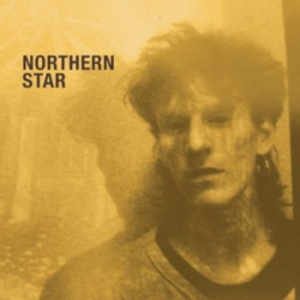 Fielding David - Northern Star in the group CD / Pop at Bengans Skivbutik AB (4238176)