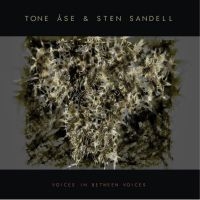 Tone Åse & Sten Sandell - Voices In Between Voices in the group VINYL / Jazz/Blues at Bengans Skivbutik AB (4238463)