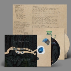 Animal Collective - Spirit They're Gone, Spirit They've in the group CD / Pop-Rock at Bengans Skivbutik AB (4239768)
