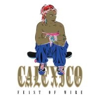 Calexico - Feast Of Wire (20Th Anniversary Ltd Edition) in the group VINYL / Rock at Bengans Skivbutik AB (4240804)