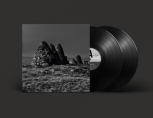 Craven Faults - Standers in the group VINYL / Pop-Rock at Bengans Skivbutik AB (4241185)