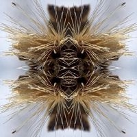 Yakuza - Sutra in the group CD / Hårdrock at Bengans Skivbutik AB (4241253)