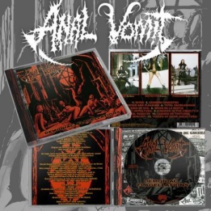 Anal Vomit - Demoniac Flagellations in the group CD / Hårdrock/ Heavy metal at Bengans Skivbutik AB (4242637)
