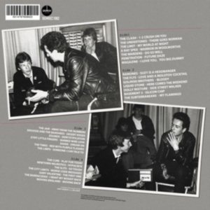 Various Artists - Gary Crowley's Punk & New Wave 2 (1 in the group VINYL / Hårdrock at Bengans Skivbutik AB (4244323)