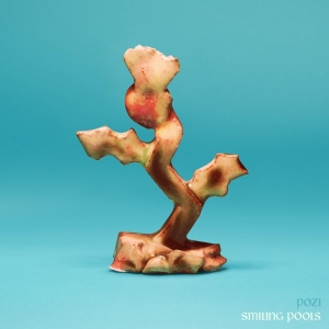 Pozi - Smiling Pools in the group CD / Hårdrock,Pop-Rock at Bengans Skivbutik AB (4244365)