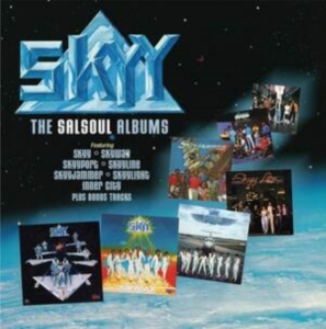 Skyy - The Salsoul Albums in the group CD / RNB, Disco & Soul at Bengans Skivbutik AB (4244392)
