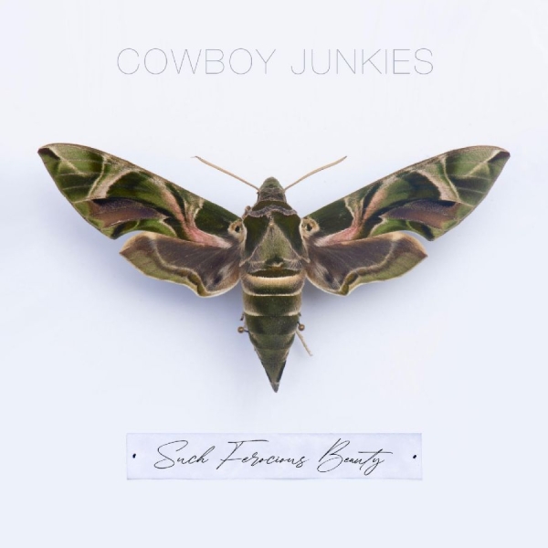 Cowboy Junkies - Such Ferocious Beauty (Tan Transluc in the group VINYL / Bestsellers at Bengans Skivbutik AB (4245485)