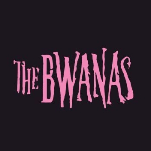 The Bwanas - The Bwanas in the group CD / Pop-Rock,Svensk Musik at Bengans Skivbutik AB (4247315)