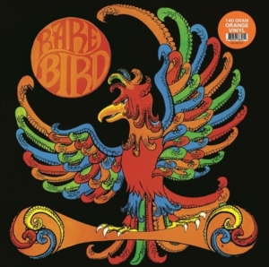Rare Bird - Rare Bird in the group VINYL / Pop-Rock at Bengans Skivbutik AB (4248518)