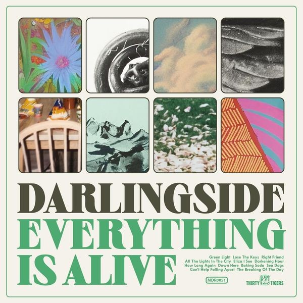 Darlingside - Everything Is Alive in the group VINYL / Worldmusic/ Folkmusik at Bengans Skivbutik AB (4249672)