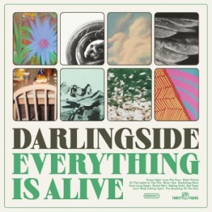 Darlingside - Everything Is Alive in the group CD / Worldmusic/ Folkmusik at Bengans Skivbutik AB (4249682)