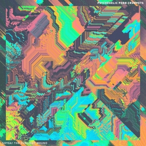 Psychedelic Porn Crumpets - Shyga! The Sunlight Mound in the group VINYL / Rock at Bengans Skivbutik AB (4251631)