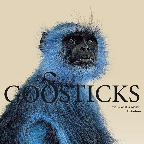 Godsticks - This Is What A Winner Looks Like in the group CD / Pop at Bengans Skivbutik AB (4256041)