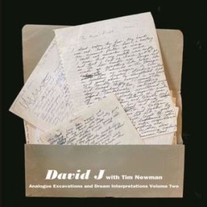 David J With Tim Newman - Analogue Excavations & Dream... Vol in the group OUR PICKS / Record Store Day / RSD2022 at Bengans Skivbutik AB (4256605)