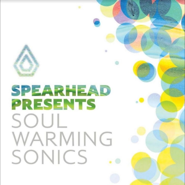 Various Artists - Soul Warming Sonics in the group VINYL / Bestsellers at Bengans Skivbutik AB (4258088)