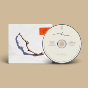 Harvey Pj - I Inside The Old Year Dying in the group CD / Pop-Rock at Bengans Skivbutik AB (4258389)