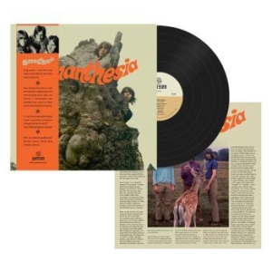 Synanthesia - Synanthesia (Vinyl Lp) in the group VINYL / Rock at Bengans Skivbutik AB (4258406)