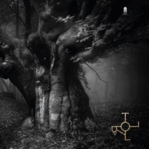 Drott - Troll in the group VINYL / Norsk Musik,Pop-Rock at Bengans Skivbutik AB (4259305)