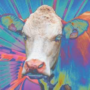 Eyes Of Others - Eyes Of Others in the group CD / Hårdrock,Pop-Rock at Bengans Skivbutik AB (4259314)