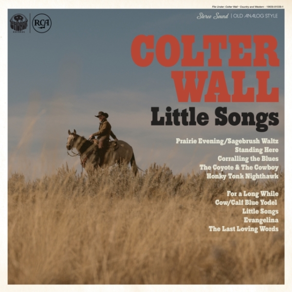 Wall Colter - Little Songs in the group CD / Bestsellers at Bengans Skivbutik AB (4260847)