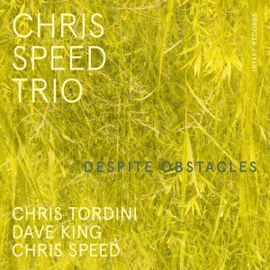 Chris Speed Trio - Despite Obstacles in the group CD / Jazz at Bengans Skivbutik AB (4261651)