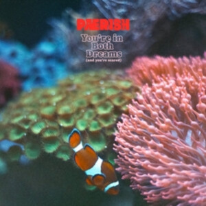 ?Pærish - You're In Both Dreams (And You're S in the group VINYL / Hårdrock,Pop-Rock at Bengans Skivbutik AB (4261999)
