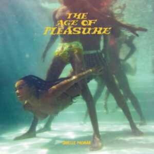 JANELLE MONÁE - THE AGE OF PLEASURE in the group CD / RnB-Soul at Bengans Skivbutik AB (4262933)