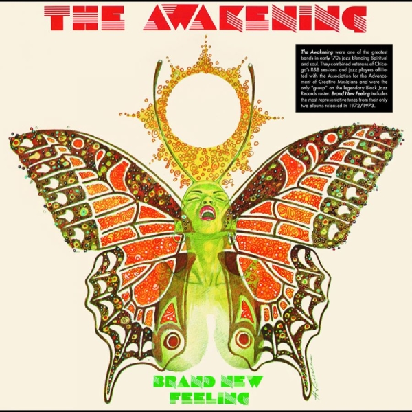 Awakening The - Brand New Feeling in the group VINYL / Bestsellers at Bengans Skivbutik AB (4265146)