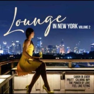 Various Artists - Lounge In New York Vol. 2 in the group MUSIK / Dual Disc / Pop-Rock at Bengans Skivbutik AB (4265513)