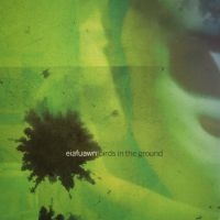 Eiafuawn - Birds In The Ground in the group VINYL / Rock at Bengans Skivbutik AB (4266624)