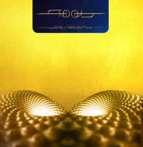 Tool - Fear Inoculum in the group VINYL / Pop-Rock at Bengans Skivbutik AB (4276764)