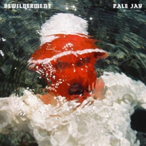 Pale Jay - Bewilderment in the group VINYL / RnB-Soul at Bengans Skivbutik AB (4278454)