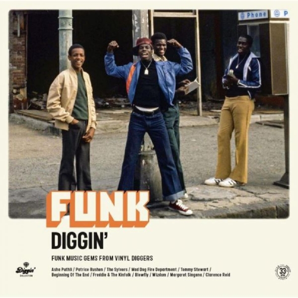 Various Artists - Funk Diggin' in the group VINYL / Bestsellers at Bengans Skivbutik AB (4281313)