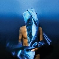 Banhart Devendra - Flying Wig in the group CD / Hårdrock,Pop-Rock at Bengans Skivbutik AB (4281349)