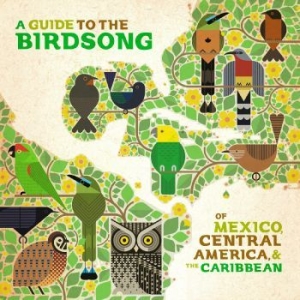 Blandade Artister - A Guide To The Birdsongs Of Mexico, in the group VINYL / World Music at Bengans Skivbutik AB (4281690)