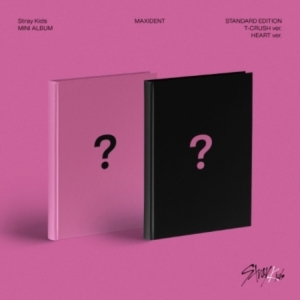 Stray Kids - MAXIDENT Random ver. in the group Minishops / K-Pop Minishops / Stray Kids at Bengans Skivbutik AB (4286947)
