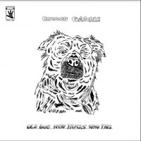 Common Grackle - Old Dog New Tricks Who This in the group VINYL / Pop-Rock at Bengans Skivbutik AB (4287337)