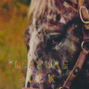Spirit Of The Beehive - Pleasure Suck (Transparent Orange V in the group VINYL / Rock at Bengans Skivbutik AB (4287751)