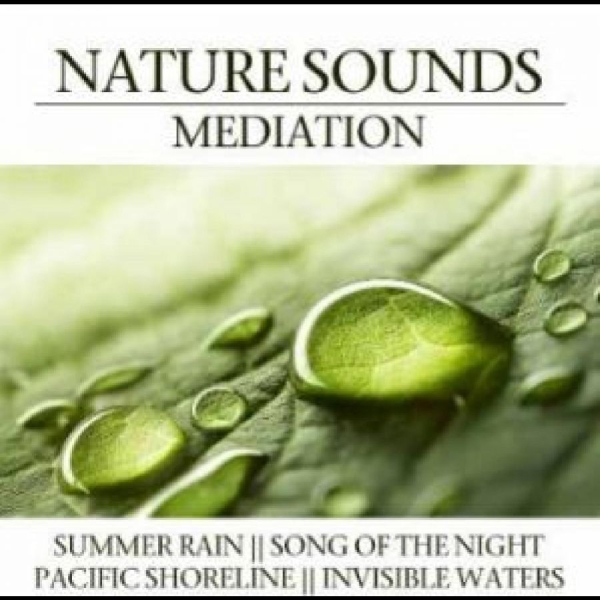 Various Artists - Nature Sounds Meditation in the group CD / Bestsellers at Bengans Skivbutik AB (4290593)